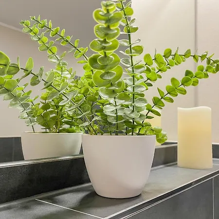 Baltischer Hof 15 Boltenhagen (Ostseebad)