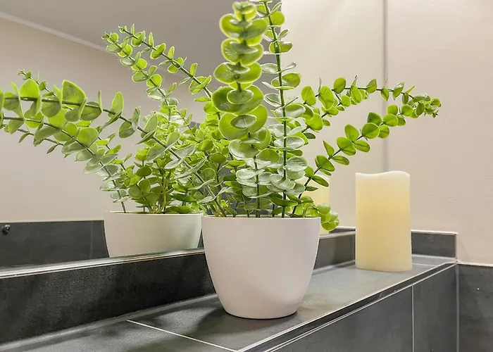 Baltischer Hof 15 Boltenhagen