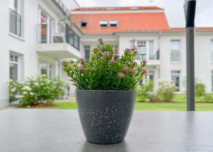 Apartman Baltischer Hof 15 *